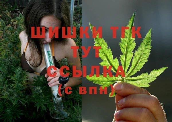 винт Гатчина