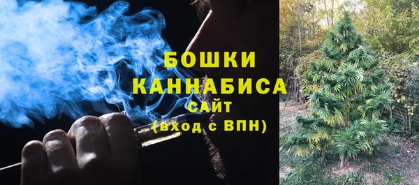 крисы Осташков