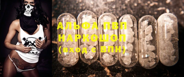 крисы Осташков