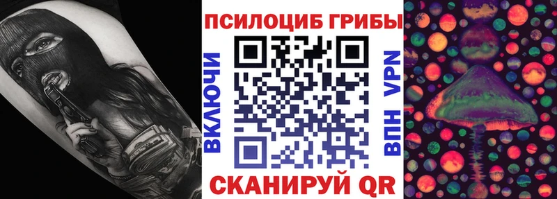 Псилоцибиновые грибы мицелий  Саров 