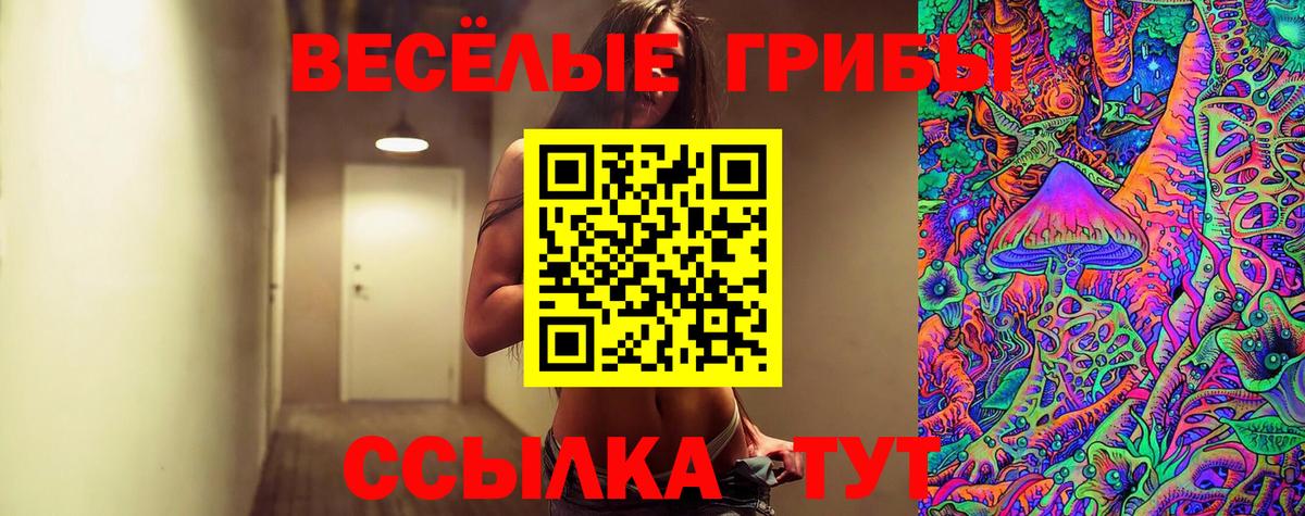 продажа наркотиков  Галлюциногенные грибы прущие грибы  Вход с VPN  Саров 
