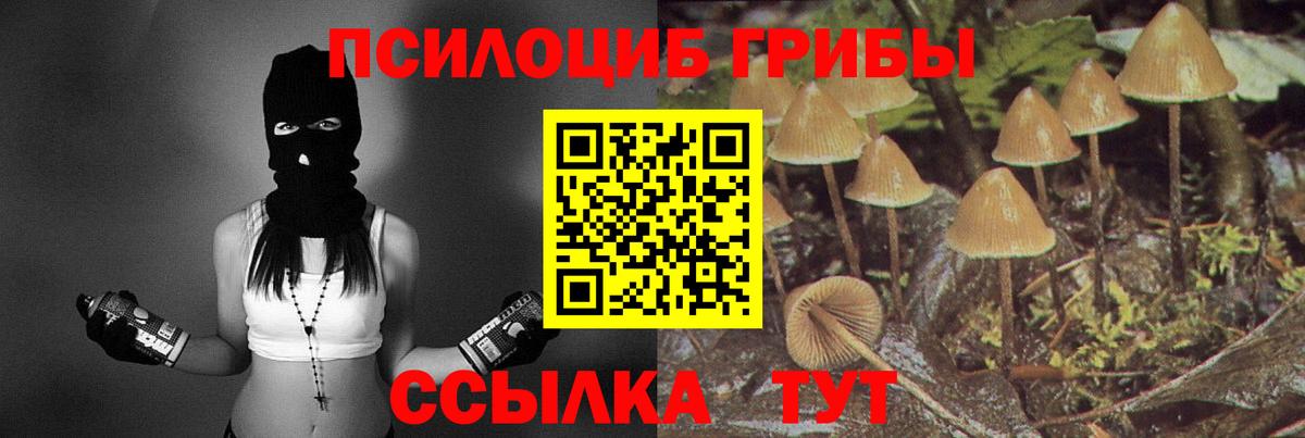 Псилоцибиновые грибы Cubensis Саров