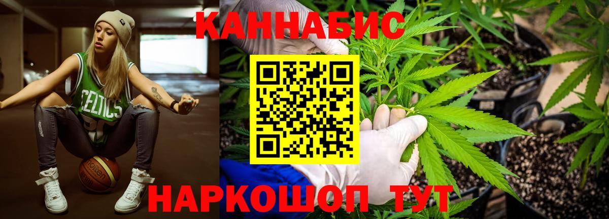 МАРИХУАНА ГИДРОПОН  Канабис планчик  Вход с VPN  Саров  Марихуана план 